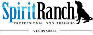 Spirit Ranch Professional Dog Training, Inc.